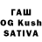 Псилоцибиновые грибы Psilocybe Ravkirat Gulati