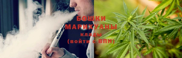 трава Аркадак