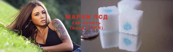 трава Аркадак